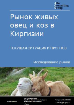 Рынок живых овец и коз в Киргизии. Текущая ситуация и прогноз 2024-2028 гг.