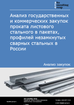 Обложка отчета: Анализ закупок проката листового стального в пакетах, профилей незамкнутых сварных стальных в России в 2025 г.