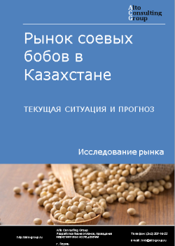 Анализ рынка соевых бобов в Казахстане. Текущая ситуация и прогноз 2024-2028 гг.