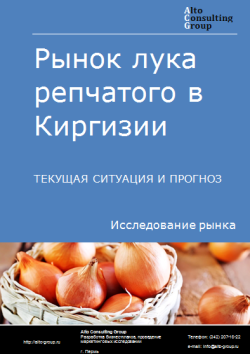 Рынок лука репчатого в Киргизии. Текущая ситуация и прогноз 2024-2028 гг.