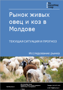 Анализ рынка живых овец и коз в Молдове. Текущая ситуация и прогноз 2024-2028 гг.