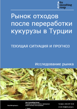 Обложка отчета: Анализ рынка отходов после переработки кукурузы в Турции. Текущая ситуация и прогноз 2025-2029 гг.