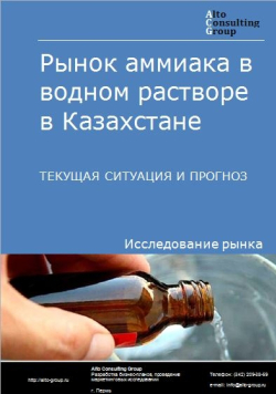 Рынок аммиака в водном растворе в Казахстане. Текущая ситуация и прогноз 2021-2025 гг.