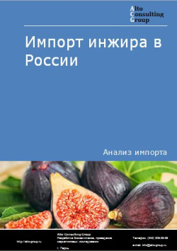 Импорт инжира в России в 2020-2024 гг.