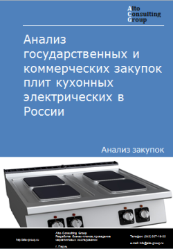 Анализ государственных и коммерческих закупок плит кухонных электрических в России в 2023 г.