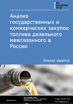 Обложка исследования: Анализ закупок топлива дизельного межсезонного в России в 2024 г.