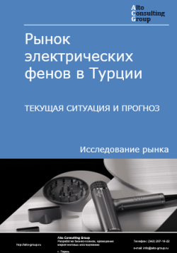 Обложка исследования: Анализ рынка электрических фенов в Турции. Текущая ситуация и прогноз 2024-2028 гг.