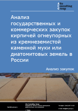 Обложка исследования: Анализ государственных и коммерческих закупок кирпичей огнеупорных из кремнеземистой каменной муки или диатомитовых земель в России в 2024 г.