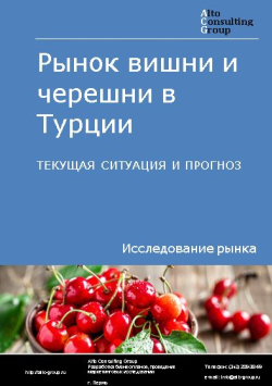 Рынок вишни и черешни в Турции. Текущая ситуация и прогноз 2024-2028 гг.