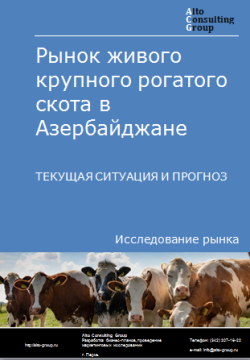 Анализ рынка живого крупного рогатого скота в Азербайджане. Текущая ситуация и прогноз 2024-2028 гг.