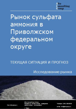 Обложка исследования: Анализ рынка сульфата аммония в Приволжском ФО. Текущая ситуация и прогноз 2024-2028 гг.