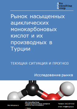 Рынок насыщенных ациклических монокарбоновых кислот и их производных в Турции. Текущая ситуация и прогноз 2024-2028 гг.