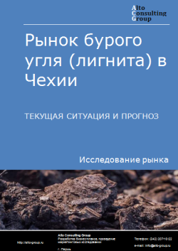 Рынок бурого угля (лигнита) в Чехии. Текущая ситуация и прогноз 2024-2028 гг.