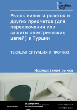 Обложка исследования: Анализ рынка вилок, розеток и других предметов (для переключения или защиты электрических цепей) в Турции. Текущая ситуация и прогноз 2024-2028 гг.