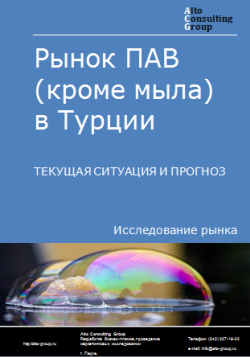 Анализ рынка ПАВ (кроме мыла) в Турции. Текущая ситуация и прогноз 2024-2028 гг.