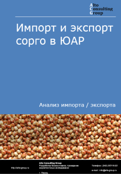 Обложка исследования: Анализ импорта и экспорта сорго в ЮАР в 2020-2024 гг.