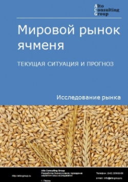 Обложка исследования: Анализ мирового рынка ячменя. Текущая ситуация и прогноз 2024-2028 гг.