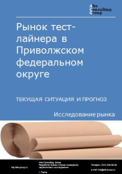 Обложка Анализ рынка тест-лайнера в Приволжском ФО. Текущая ситуация и прогноз 2024-2028 гг.