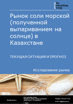 Рынок соли морской (полученной выпариванием на солнце) в Казахстане. Текущая ситуация и прогноз 2024-2028 гг.