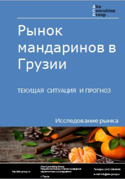 Рынок мандаринов в Грузии. Текущая ситуация и прогноз 2024-2028 гг.