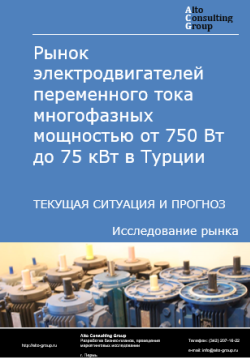 Обложка Анализ рынка электродвигателей переменного тока многофазных мощностью от 750 Вт до 75 кВт в Турции. Текущая ситуация и прогноз 2024-2028 гг.