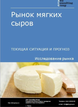 Обложка Анализ рынка сыров мягких в России. Текущая ситуация и прогноз 2024-2028 гг.