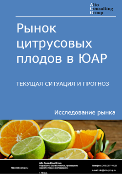 Обложка исследования: Анализ рынка цитрусовых плодов в ЮАР. Текущая ситуация и прогноз 2024-2028 гг.