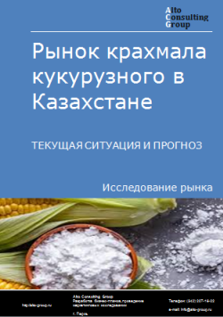 Анализ рынка крахмала кукурузного в Казахстане. Текущая ситуация и прогноз 2024-2028 гг.