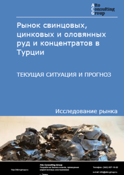 Рынок свинцовых, цинковых и оловянных руд и концентратов в Турции. Текущая ситуация и прогноз 2025-2029 гг.