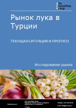 Обложка исследования: Анализ рынка лука в Турции. Текущая ситуация и прогноз 2024-2028 гг.