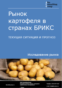 Рынок картофеля в странах БРИКС. Текущая ситуация и прогноз 2024-2028 гг.