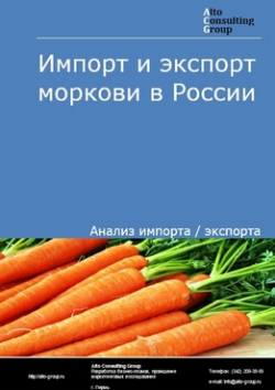 Импорт и экспорт моркови в России в 2020-2024 гг.