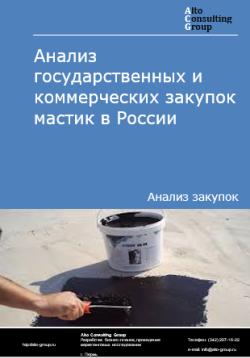 Анализ государственных и коммерческих закупок мастик в России в 2024 г.