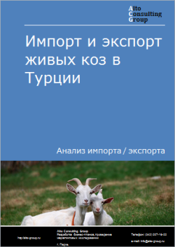Анализ импорта и экспорта живых коз в Турции в 2019-2023 гг.