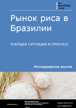 Рынок риса в Бразилии. Текущая ситуация и прогноз 2024-2028 гг.