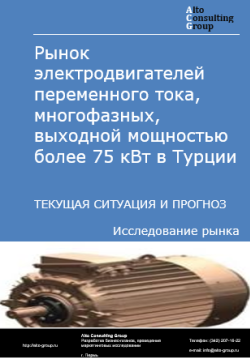 Обложка Анализ рынка электродвигателей переменного тока, многофазных, выходной мощностью более 75 кВт в Турции. Текущая ситуация и прогноз 2024-2028 гг.