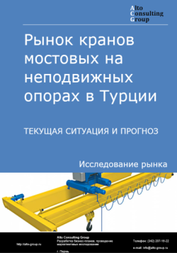 Обложка исследования: Анализ рынка кранов мостовых на неподвижных опорах в Турции. Текущая ситуация и прогноз 2024-2028 гг.