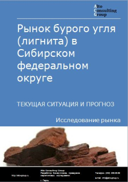 Рынок бурого угля (лигнита) в Сибирском федеральном округе. Текущая ситуация и прогноз 2024-2028 гг.