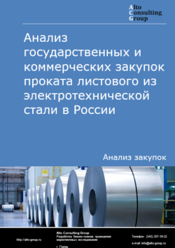 Анализ государственных и коммерческих закупок проката листового из электротехнической стали в России в 2024 г.