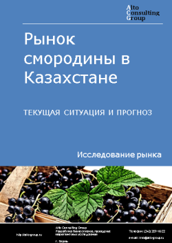 Рынок смородины в Казахстане. Текущая ситуация и прогноз 2023-2027 гг.