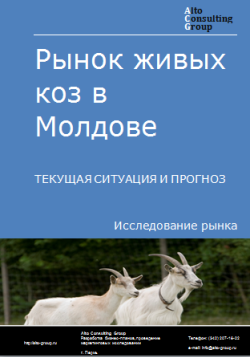 Анализ рынка живых коз в Молдове. Текущая ситуация и прогноз 2024-2028 гг.