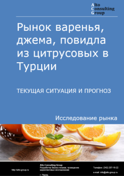 Обложка отчета: Анализ рынка варенья, джема, повидла из цитрусовых в Турции. Текущая ситуация и прогноз 2025-2029 гг.
