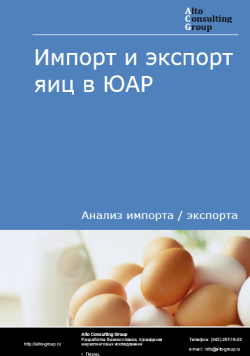 Обложка исследования: Анализ импорта и экспорта яиц в ЮАР в 2020-2024 гг.