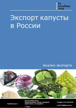 Экспорт капусты в России в 2020-2024 гг.