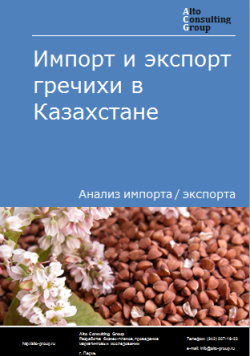 Анализ импорта и экспорта гречихи в Казахстане в 2019-2023 гг.
