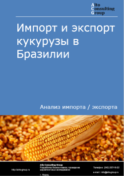 Импорт и экспорт кукурузы в Бразилии в 2020-2024 гг.