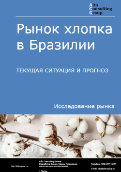 Рынок хлопка в Бразилии. Текущая ситуация и прогноз 2024-2028 гг.