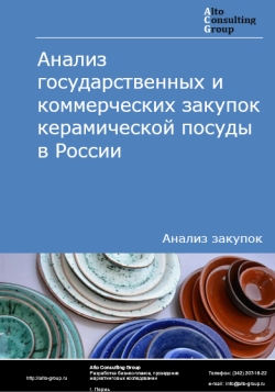 Анализ государственных и коммерческих закупок керамической посуды в России в 2024 г.