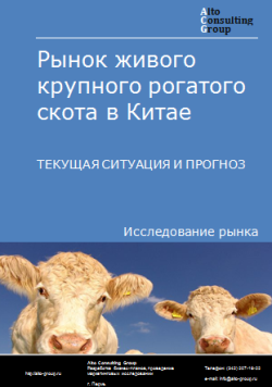 Рынок живого крупного рогатого скота в Китае. Текущая ситуация и прогноз 2024-2028 гг.