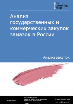 Анализ государственных и коммерческих закупок замазок в России в 2024 г.